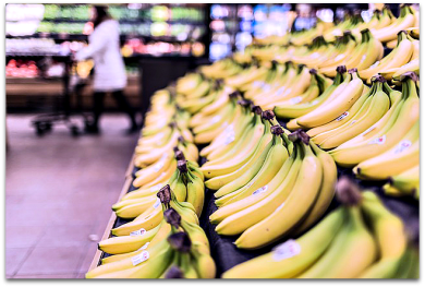 A rack of bananas with grocery shopper in the background.
